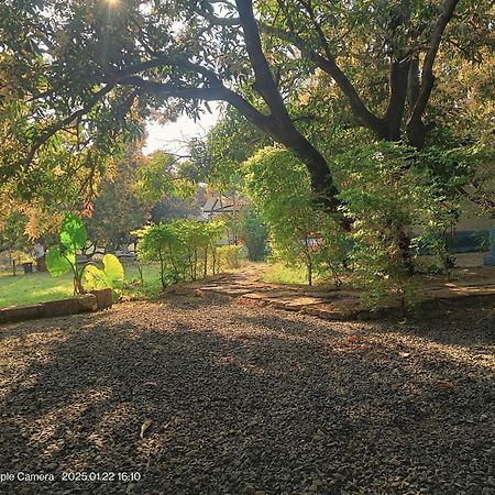 Gir County Resort ササン・ギル エクステリア 写真