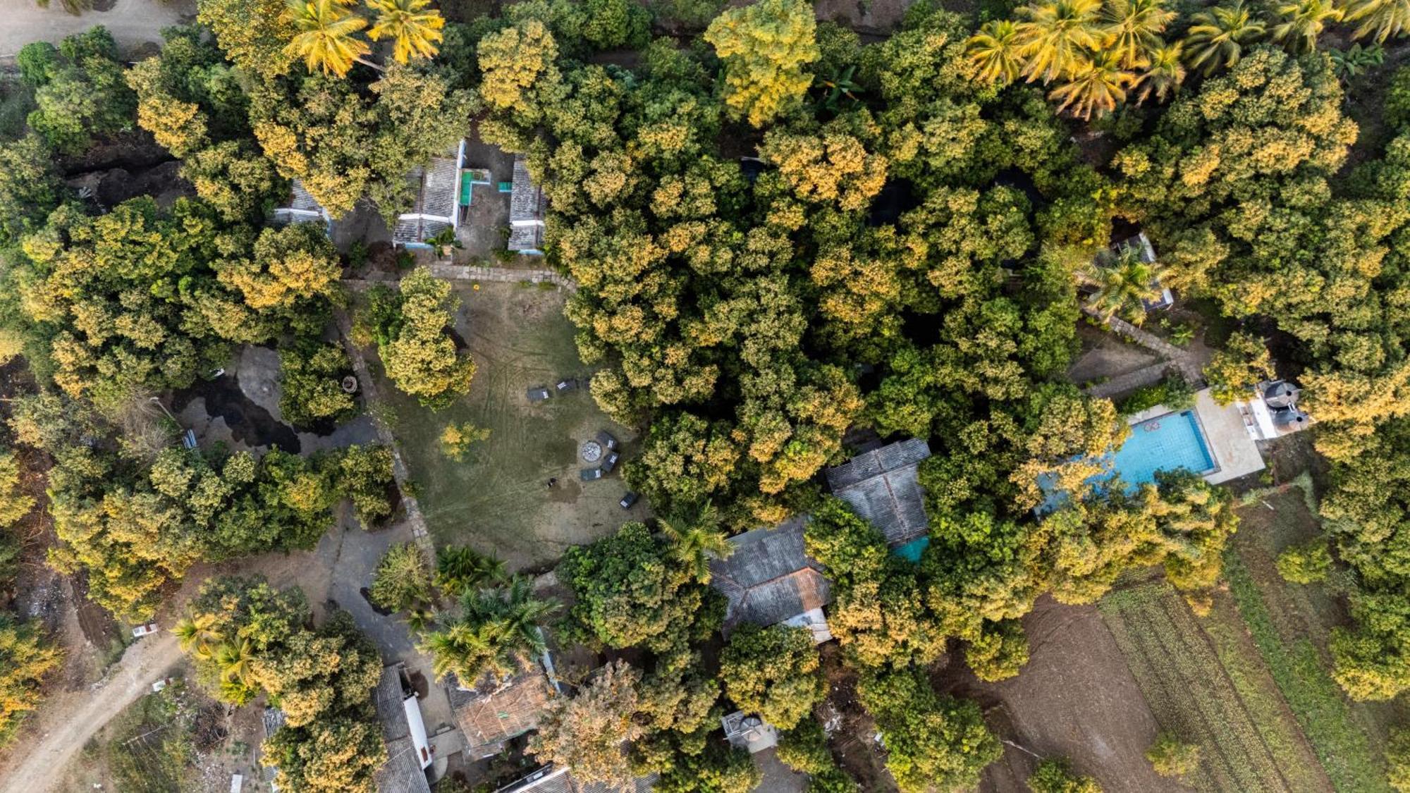 Gir County Resort ササン・ギル エクステリア 写真