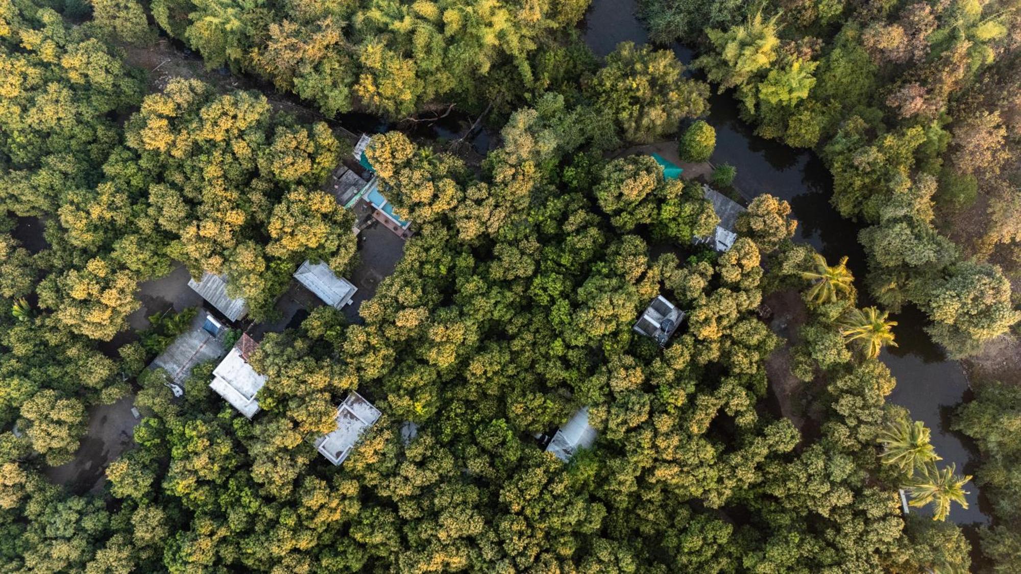 Gir County Resort ササン・ギル エクステリア 写真
