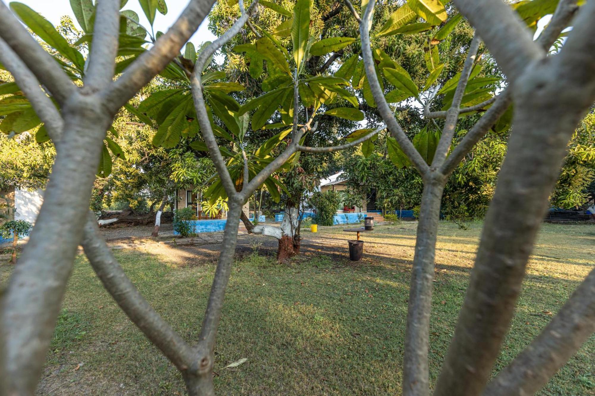 Gir County Resort ササン・ギル エクステリア 写真