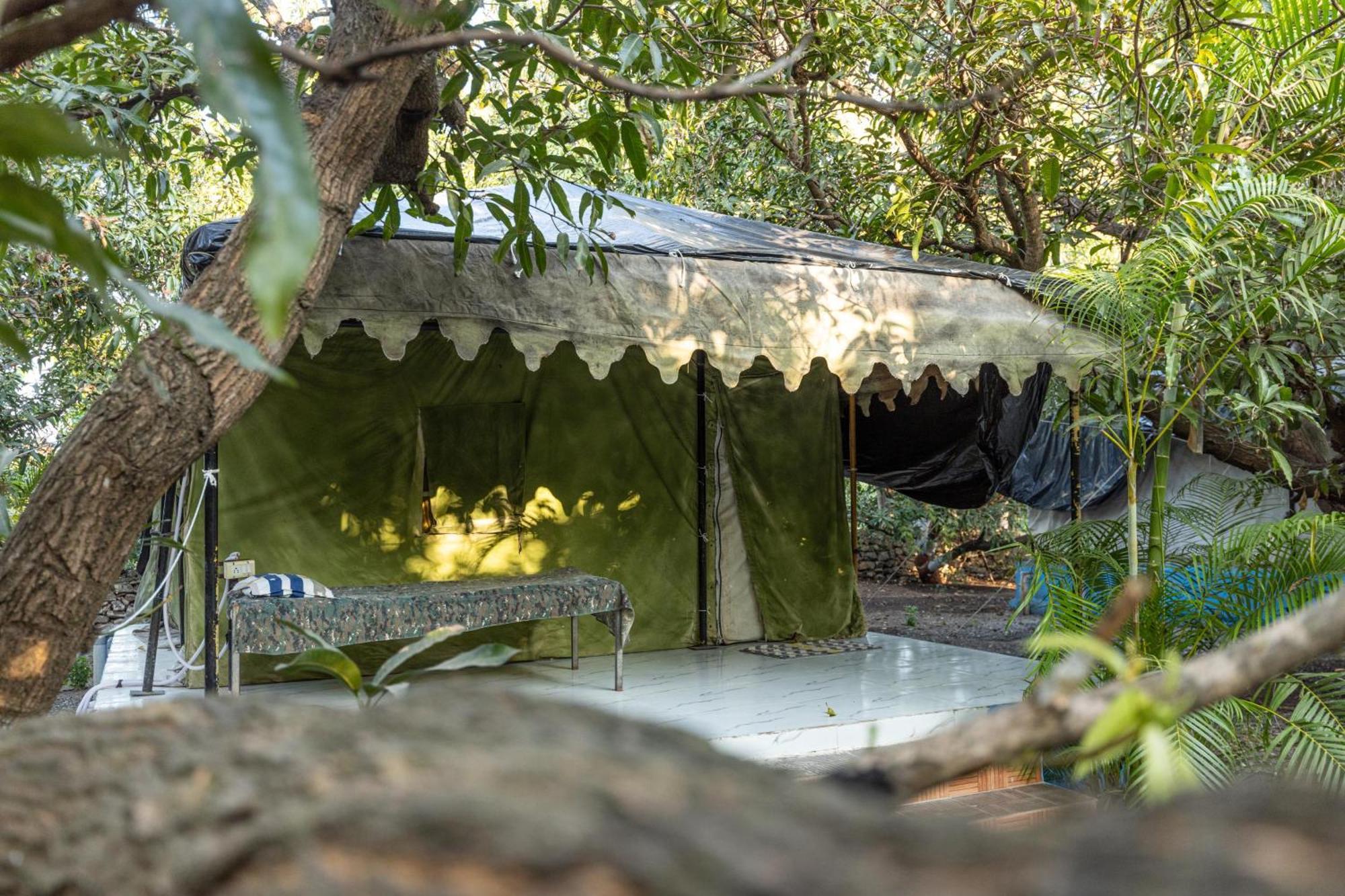 Gir County Resort ササン・ギル エクステリア 写真