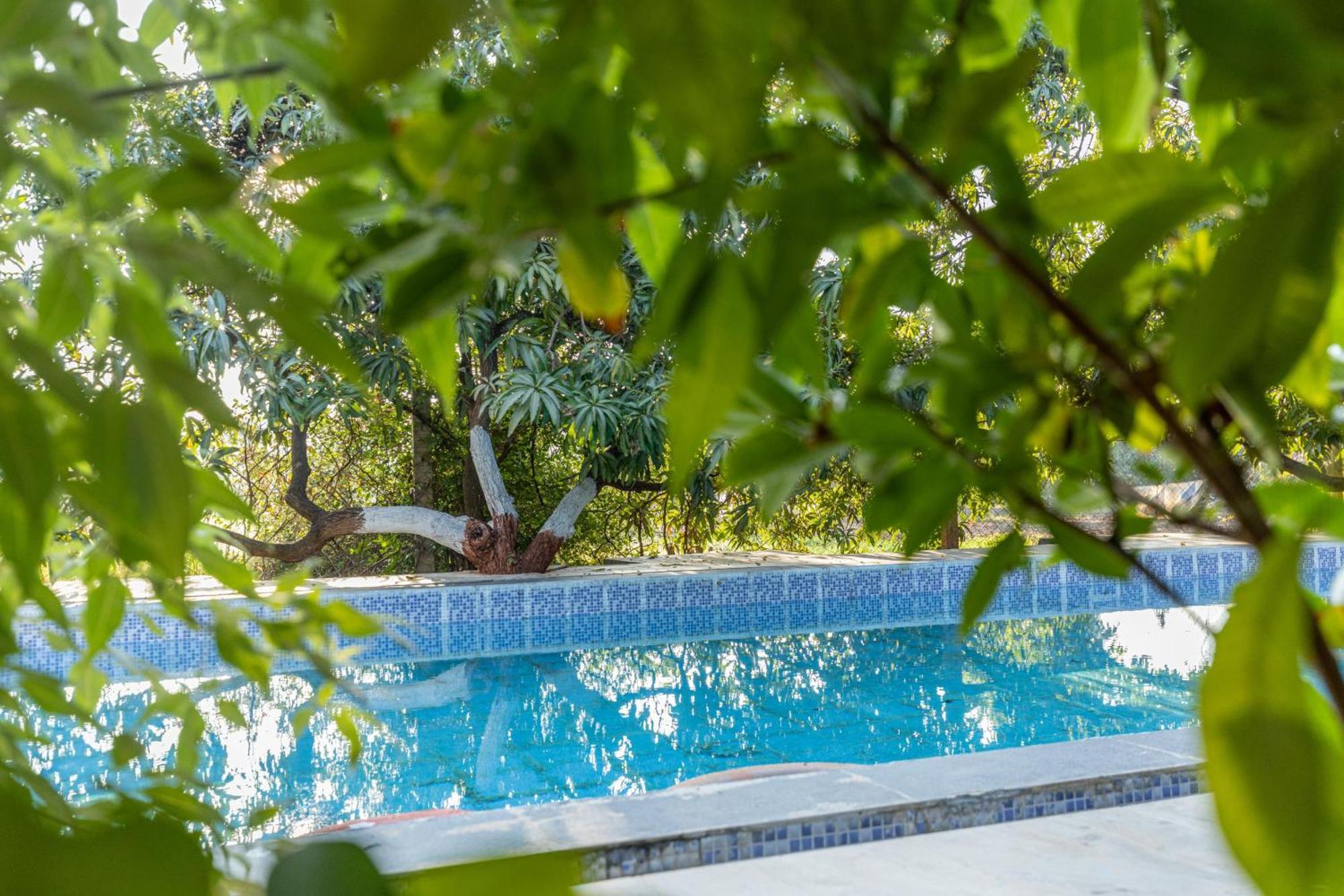Gir County Resort ササン・ギル エクステリア 写真